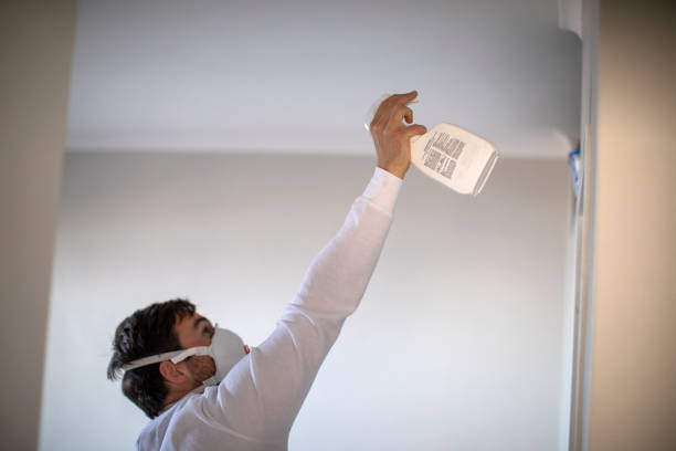 Best Water Damage Restoration  in Mckinleyville, CA