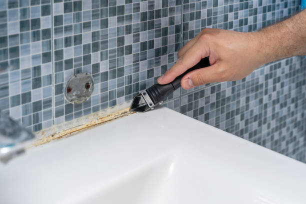 Best Home Mold Removal  in Mckinleyville, CA